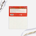 Переводные картинки для украшения яиц «Светлой Пасхи!», 15×10 см - Фото 5