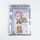 Набор для девочки "Волшебный кролик": сумка, наклейка, анкета, браслет - фото 807061988