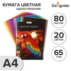 Бумага цветная А4, 80 листов, 20 цветов Calligrata TOP, офсет, в папке - фото 320967460