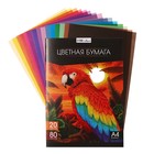 Бумага цветная А4, 80 листов, 20 цветов Calligrata TOP, офсет, в папке - фото 9958851