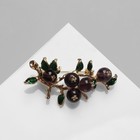 Брошь «Рябина» ягоды, фиолетово-зелёная в золоте - Фото 1