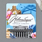 Магнит виниловый «Новосибирск», 6 х 7 см - фото 320968107