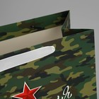 Пакет подарочный ламинированный горизонтальный, упаковка, «Звезда», ML 27 х 23 х 11.5 см - Фото 5
