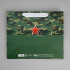 Пакет подарочный ламинированный горизонтальный, упаковка, «Звезда», ML 27 х 23 х 11.5 см - Фото 7