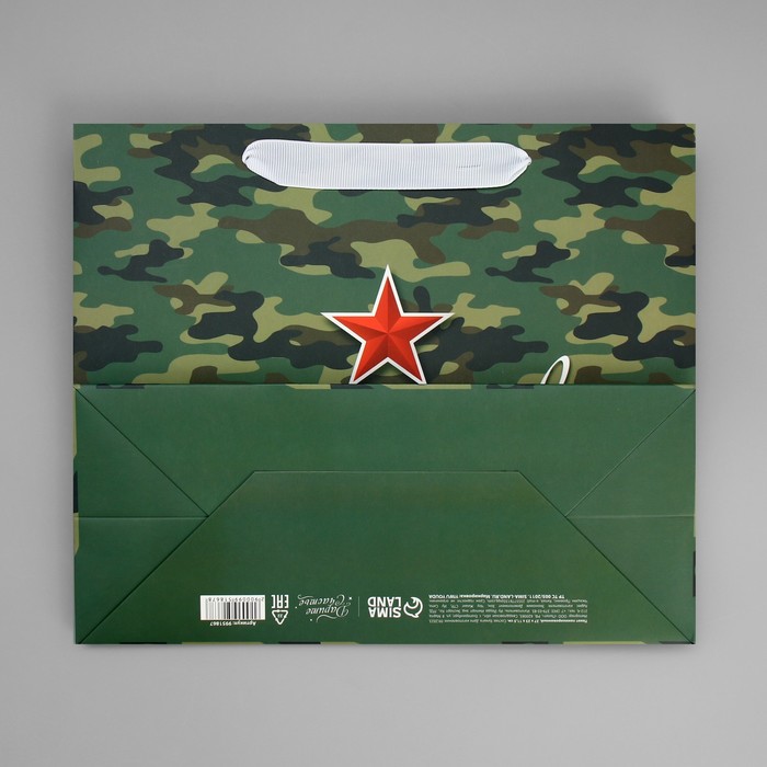Пакет подарочный ламинированный горизонтальный, упаковка, «Звезда», ML 27 х 23 х 11.5 см - фото 1909480356