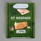 Пакет подарочный ламинированный горизонтальный, упаковка, «23 февраля», почта, S 12 х 15 х 5.5 см - Фото 6