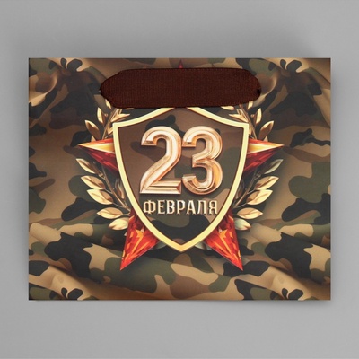 Пакет подарочный ламинированный, упаковка, «С 23 февраля», S 15×12×5.5 см