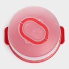 Блюдо для торта и пирожных с крышкой Доляна, 30,5×21,5 см, цвет МИКС - фото 23567961