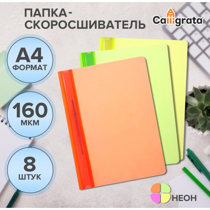 Набор папок-скоросшивателей А4, Calligrata Neon, 160 мкм, 8 штук, МИКС, прозрачный верх - Фото 1