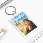 Брелок "Питер" 3,5 х 5 см. (комплект 10 шт) - фото 23607705