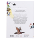 Сказки. Краденое солнце. Чуковский К.И. - фото 23904710