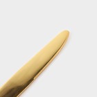 Набор столовых приборов из нержавеющей стали Magistro Silve, 24 предмета, в яйце, с ёршиком для посуды, цвет золотой - фото 24271040