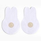 Сатиновые пэстисы для груди "Для твоей красоты", 0.05 х 12.7 х 19 см - фото 23589880