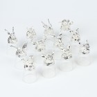 Подарочный набор рюмок-перевёртышей на 12 персон, с графином 400 мл, рюмка 30 мл, серебро - Фото 4