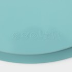Форма силиконовая для выпечки «Круг с ручками», 30,5×25×4,7 см (внутренний диаметр 24,7 см), цвет бирюзовый - фото 4415712