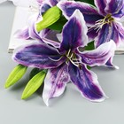 Цветы искусственные "Лилия галант" d-13 см 66 см, фиолетовый - фото 8888510