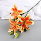 Цветы искусственные "Лилия галант" d-13 см 66 см, оранжево-жёлтый - фото 320969826