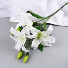 Цветы искусственные "Лилия галант" d-13 см 66 см, белый - фото 320969828