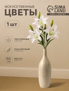 Белый