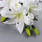 Цветы искусственные "Лилия галант" d-13 см 66 см, белый - Фото 2