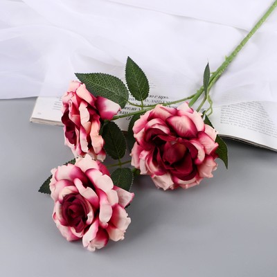 Цветы искусственные "Роза Палома" d-8 см 53 см, тёмно-сиреневый