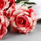 Цветы искусственные "Роза Палома" d-8 см 53 см, розовый - Фото 2