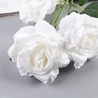 Цветы искусственные "Роза Палома" d-8 см 53 см, белый - фото 8736648