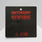 Брошь «Скорпион» стальной, цвет серебро - Фото 4