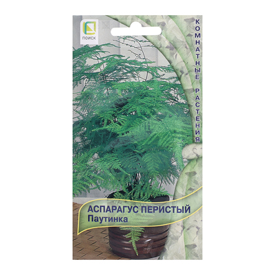 Семена цветов Аспарагус перистый «Паутинка», 5 шт., «ПОИСК»