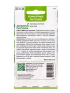 Семена цветов Аспарагус перистый "Паутинка",5шт. - фото 809278669