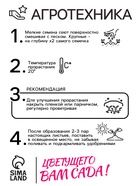 Семена цветов "Аубреция", Смесь окрасок, 0,1гр. 10290267 - фото 13754085