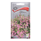 Семена цветов Бакопа "Розовая лавина", 5шт - фото 24839476