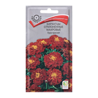 Семена цветов Бархатцы отклоненные махровые "Аура", красная, 0,4гр. - фото 320970212