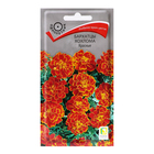 Семена цветов Бархатцы "Хохлома", Красные, 0,4гр - фото 9400002