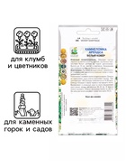 Семена цветов Камнеломка Арендса "Белый ковёр", 0,01гр. 10290349