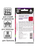 Семена цветов Катарантус "Казанова", 10шт 10290352