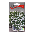 Семена цветов Лобелия плетистая "Белый фонтан", 0,1гр. - фото 320970376