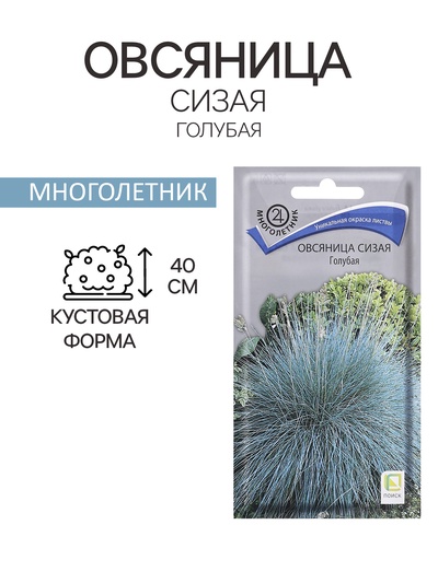 Семена цветов Овсяница "Сизая", Голубая, 0,1гр.