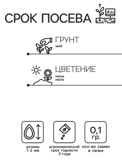 Семена цветов Овсяница "Сизая", Голубая, 0,1гр.