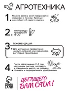 Семена цветов Овсяница "Сизая", Голубая, 0,1гр. 10290414 - фото 16353464
