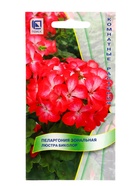 Семена цветов Пеларгония зональная "Люстра Биколор", 5шт. - Фото 3