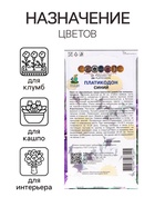 Семена цветов Платикодон «Синий», 0.1 г, «Поиск» (комплект 2 шт) - фото 39098198