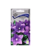 Семена цветов Платикодон «Синий», 0.1 г, «Поиск» (комплект 2 шт) - фото 39098200