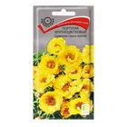 Семена цветов Портулак крупноцветковый "Солнечная страна", золотой, 0,1гр. - фото 320970542