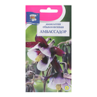 Семена цветов Аквилегия "Амбассадор", 0,05 г - фото 9331154