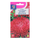 Семена цветов Астра пионовидная "Дюшес", Красная, 0,3 г - фото 24711314