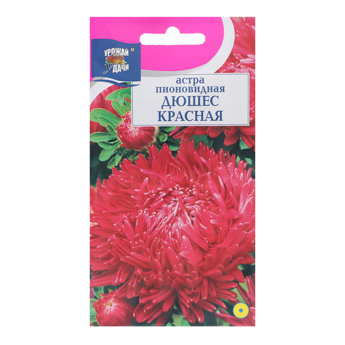 Семена цветов Астра пионовидная Дюшес, Красная, 0,3 г