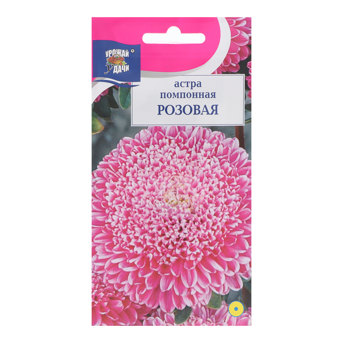 Семена цветов Астра "Помпонная", Розовая, 0,3 г - Фото 1