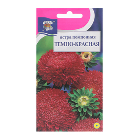 Семена цветов Астра "Помпонная", Темно-красная, 0,3 г