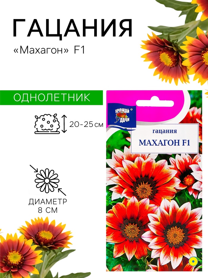 Семена цветов Гацания «Махагон», F1, для балкона, веранды, цветника, однолетник, низкорослая0.04 г - Фото 1